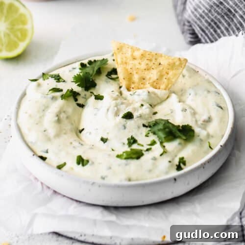 Close-up shot of the finished creamy queso fresco dip in a bowl, garnished with fresh herbs.