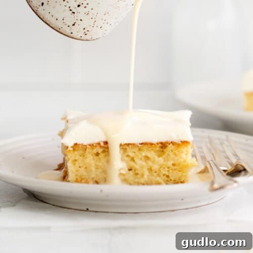 Beautifully frosted Tres Leches cake slice on a white plate, garnished with fresh berries and a hint of a drizzle.