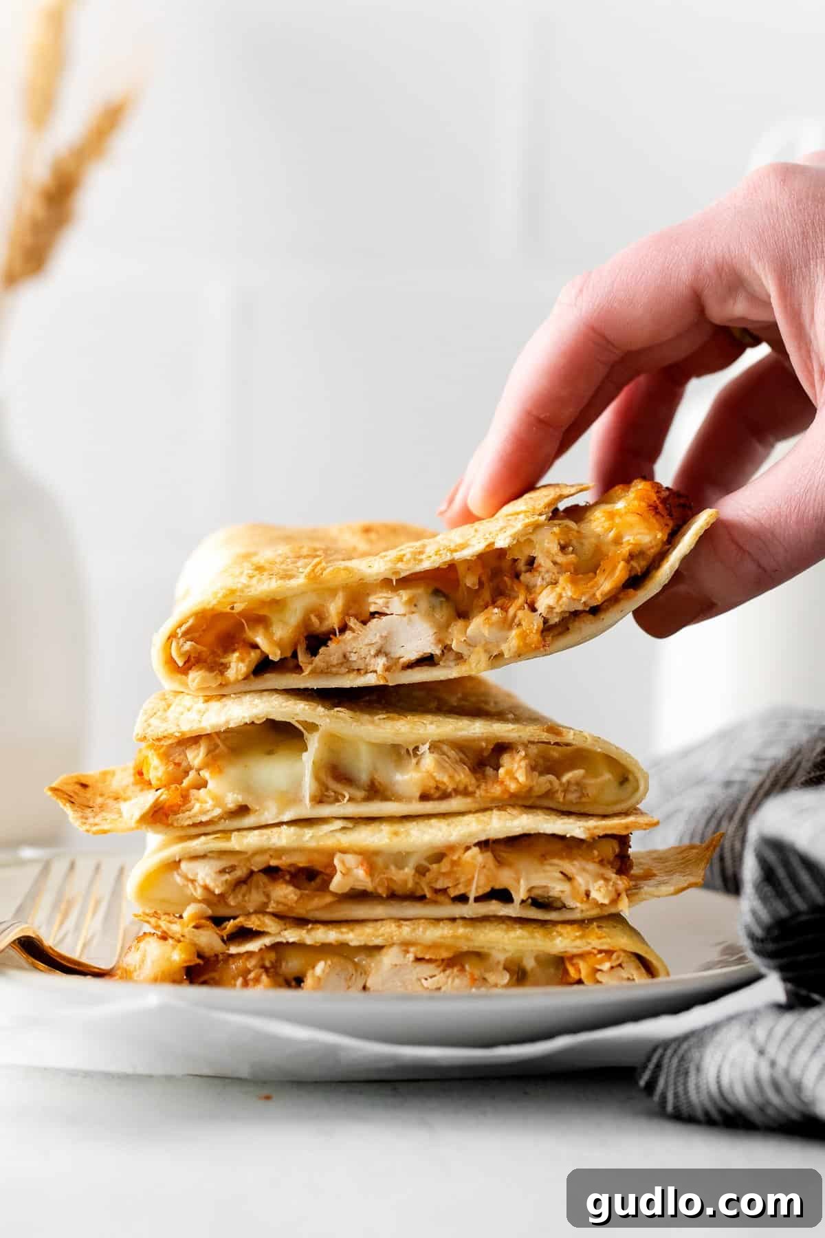 Crispy Air Fryer Chicken Quesadilla Hand holding a golden-brown, crispy air fryer quesadilla, showing the melted cheese and chicken filling.