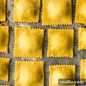 A close-up of beautifully crafted homemade ravioli, showing the delicate pasta folds and inviting texture.