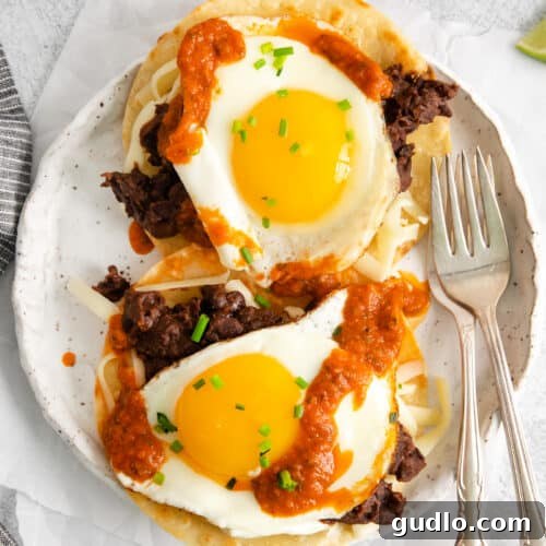 A beautifully plated Mexican breakfast of Huevos Rancheros with a fried egg and fresh toppings.