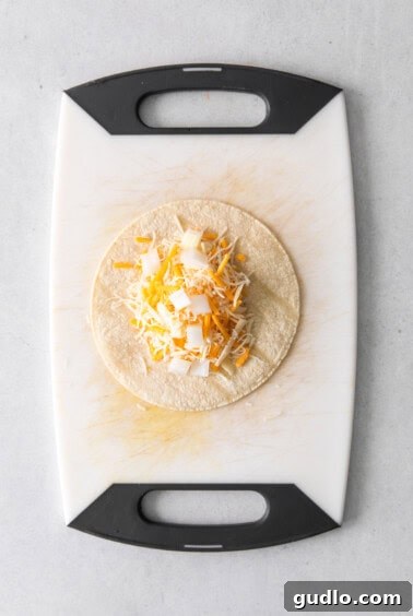 Irresistibly Cheesy Enchiladas 5 A corn tortilla filled with cheese and onion, ready to be rolled into an enchilada.
