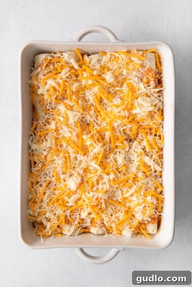 Irresistibly Cheesy Enchiladas 7 A casserole dish filled with unbaked enchiladas, covered in sauce and a thick layer of shredded cheese.