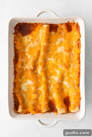 Irresistibly Cheesy Enchiladas 8 A baked casserole dish of cheesy enchiladas, golden and bubbling, fresh from the oven.