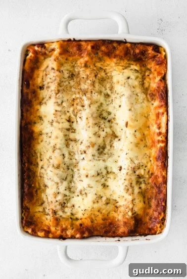 Creamy Bechamel Lasagna 13 Baked lasagna in a white dish, golden brown and bubbly from the oven.