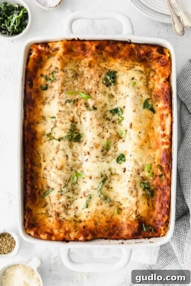 Creamy Bechamel Lasagna 14 A freshly baked bechamel lasagna in a white baking dish, garnished with parmesan cheese and fresh herbs.