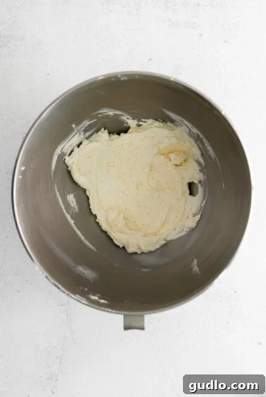 Savory Homemade Cheese Crisps 2 Creamy mixture of butter and cheese in a stand mixer bowl, perfectly combined and aerated for cracker dough.