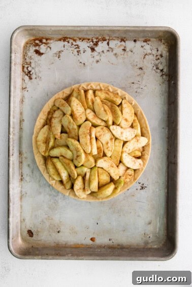 a pie with apples on a metal pan.