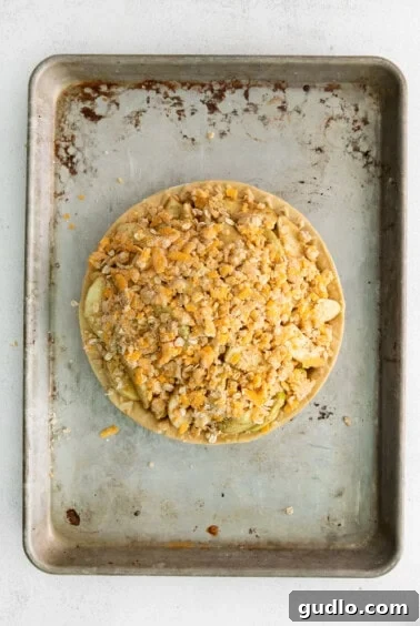 a pie on a baking sheet with toppings on it.