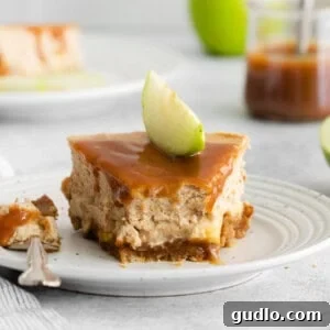 A delectable slice of caramel apple cheesecake with a swirl of caramel sauce.