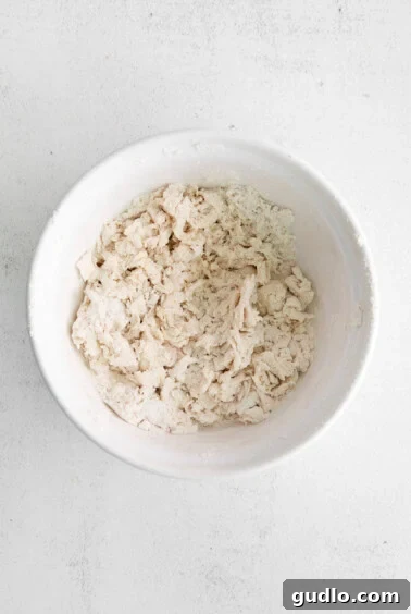 Cheese tortellini dough in a bowl, showing the initial mixing stage before kneading.