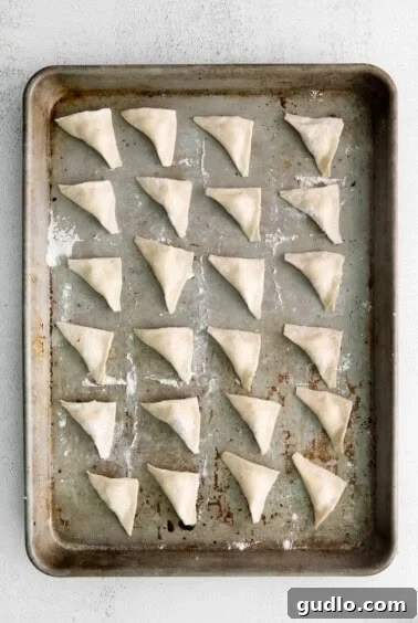 Hand-folded cheese tortellini, meticulously arranged on a baking sheet, showcasing their intricate shape before cooking.