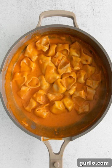 Cooked cheese tortellini being gently tossed with creamy vodka sauce in a pan, ensuring every piece is coated.