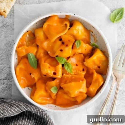 A close-up of cheese tortellini swimming in a bowl of creamy vodka sauce, garnished with fresh herbs, showcasing its rich texture and inviting appeal.