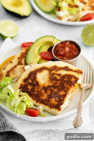 Freshly cooked quesadillas on a plate, garnished with avocado and tomatoes.