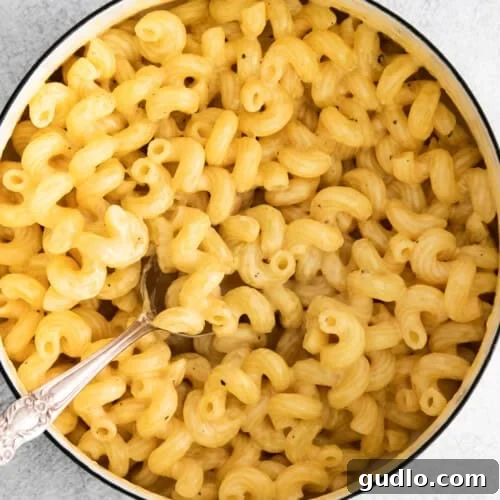 A pot of cheese pasta features tender macaroni noodles coated in creamy cheese sauce, with a silver spoon resting inside.