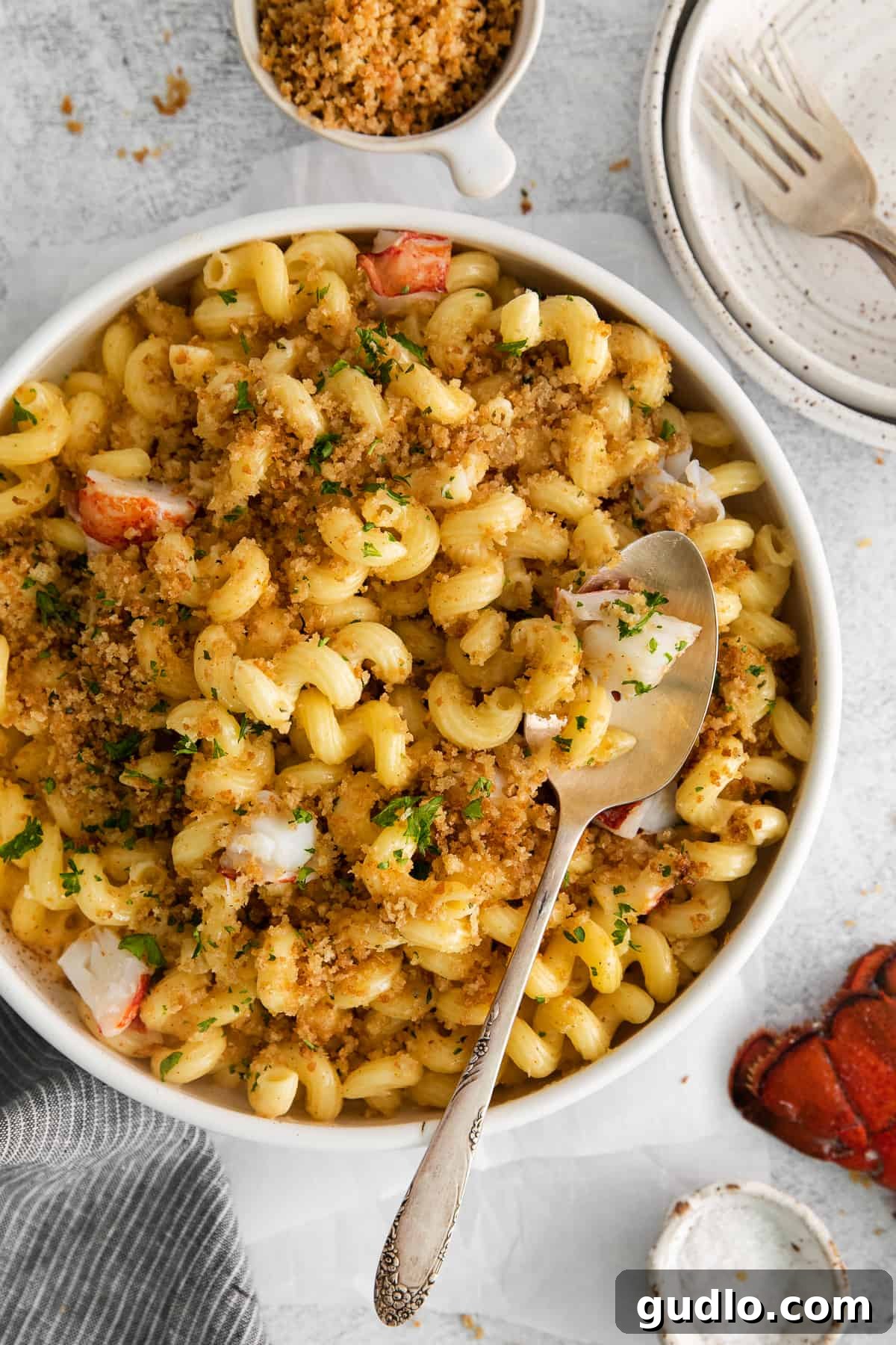Decadent Lobster Macaroni 2 A beautifully presented bowl of creamy lobster mac and cheese with a crispy topping.