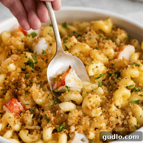 Decadent Lobster Macaroni 8 A delectable combination of lobster and creamy macaroni and cheese, served in a elegant white bowl.