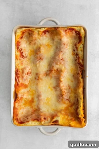 Ultimate Cheese Lasagna 4 A hot, cooked lasagna bubbling in its pan, with a golden-brown cheesy top, having just been removed from the oven.
