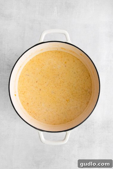 A pot of soup on a white background.
