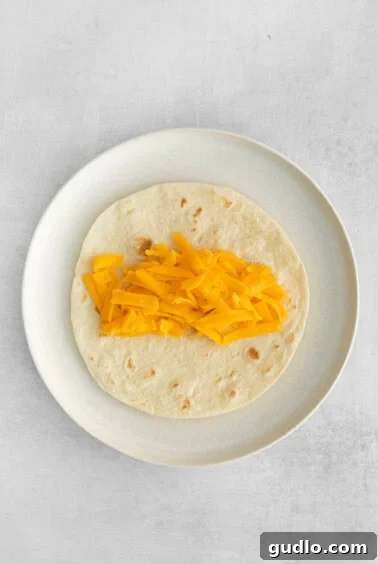 Shredded cheese sprinkled on a tortilla.