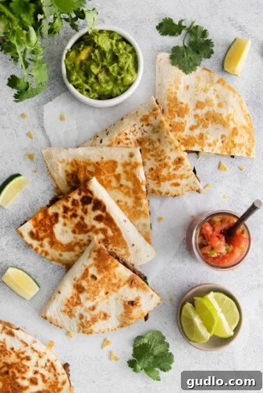 Sizzling Steak and Cheese Tortillas 10 sliced steak quesadilla.