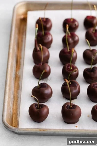 Freshly made chocolate covered cherries resting on parchment paper, allowing the chocolate to fully set.
