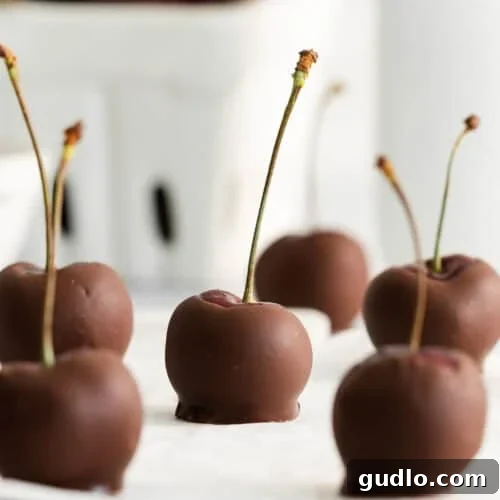 A selection of chocolate covered cherries, perfectly set and ready to be enjoyed, showcasing their inviting appearance.