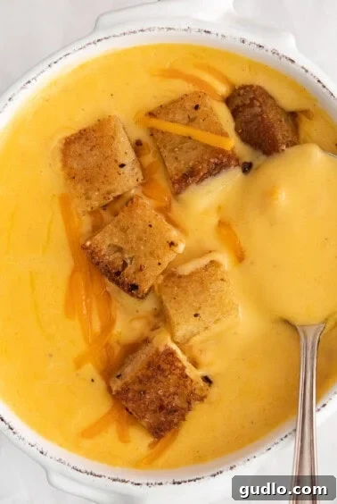 Velvety Cheddar Delight 8 A final presentation of creamy cheddar cheese soup in a bowl, garnished with shredded cheese and crispy croutons.