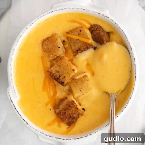 A perfectly portioned bowl of cheddar cheese soup, ready to be enjoyed, showing its creamy texture.
