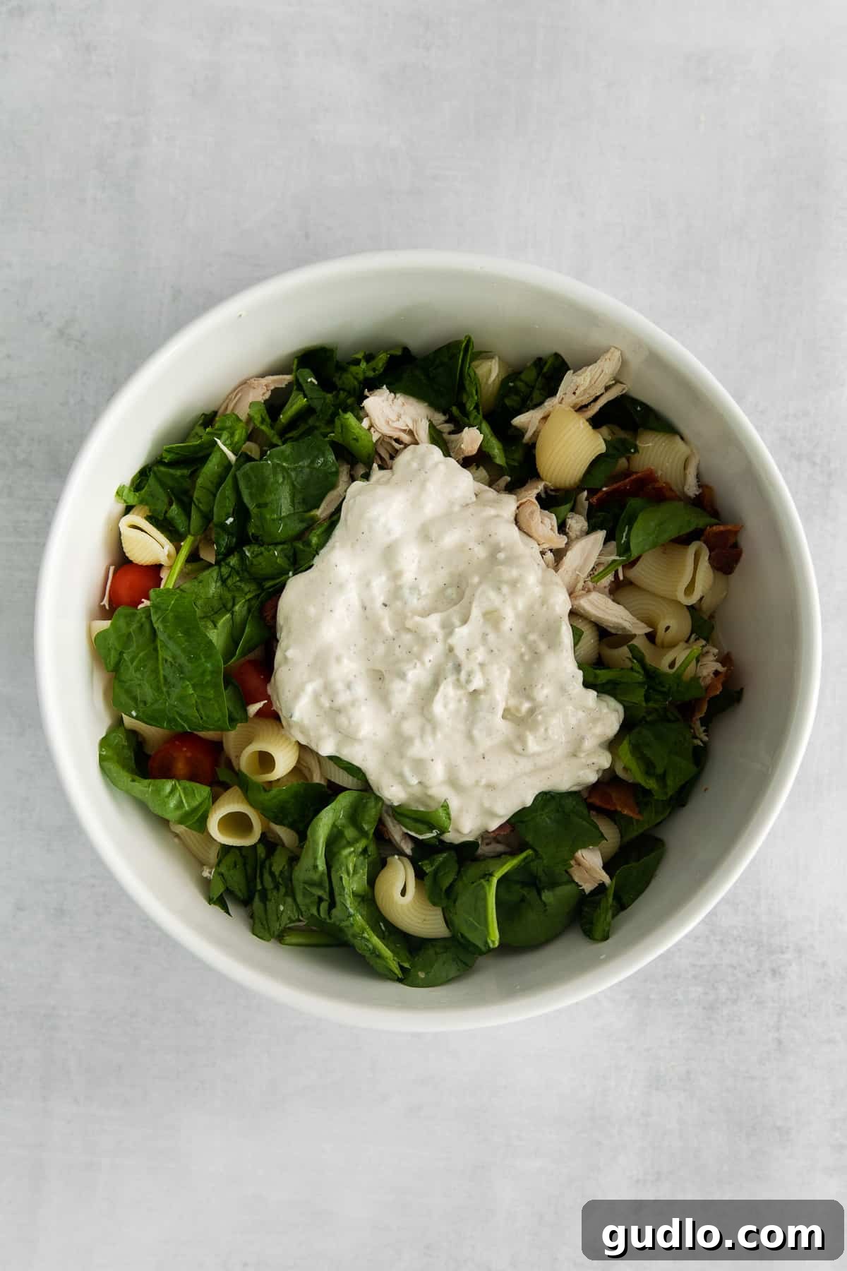 Creamy Gorgonzola Chicken Pasta Salad 6 A close-up shot of the finished Gorgonzola Chicken Pasta Salad, highlighting the rich, creamy dressing beautifully coating every ingredient and creating a luscious texture.