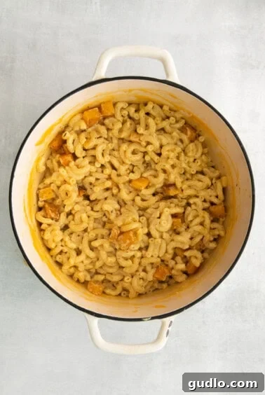 Finished pumpkin mac and cheese in a Dutch oven, ready to be served.