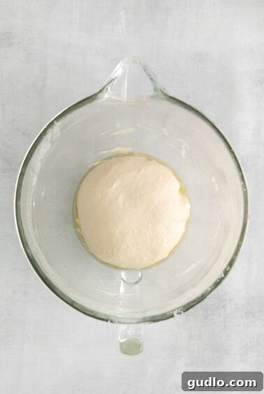 Smooth, elastic dough after kneading, resting in an oiled bowl ready for its first rise.