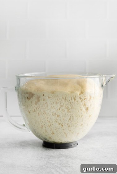 The dough, perfectly risen and doubled in size, filling its bowl for the next stage of preparation.