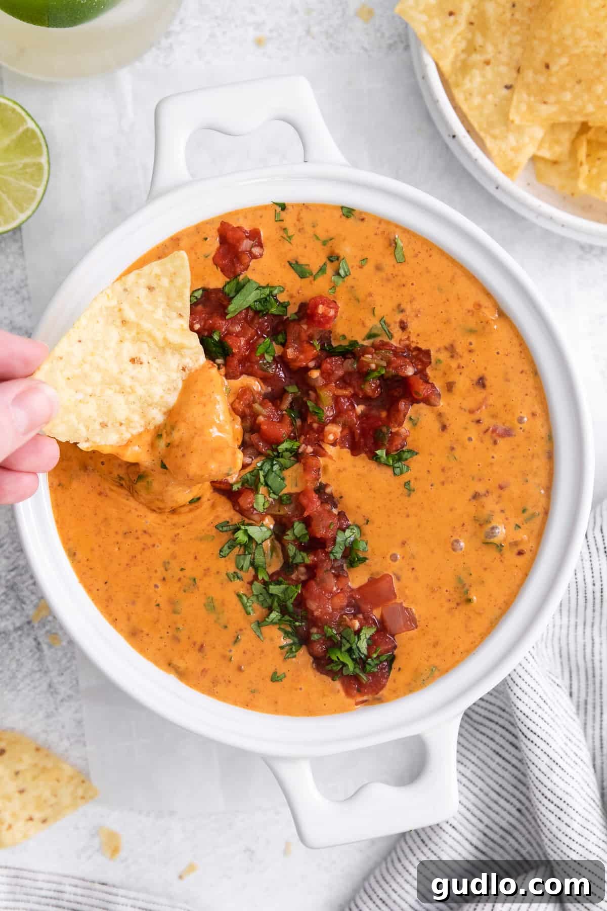 Velveeta Dream Dip 2 Velveeta cheese dip in a rustic bowl, garnished with fresh cilantro, ready to be scooped with tortilla chips.