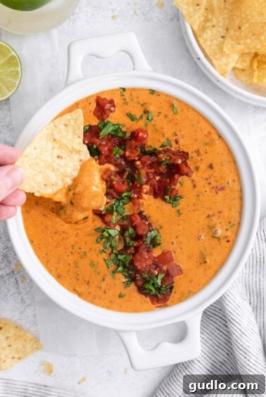 Serving the warm Velveeta cheese dip in a bowl with a side of tortilla chips, garnished with fresh cilantro.