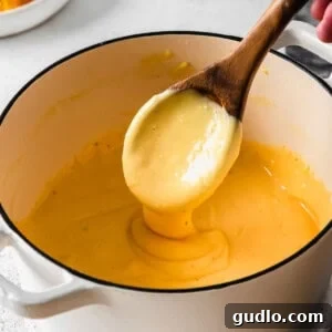 Velveeta Dream Dip 4 A creamy bowl of Velveeta mac and cheese, ready to be served.
