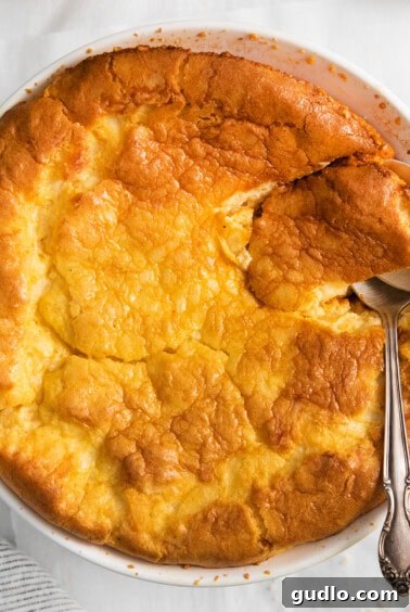 A freshly baked, golden, and risen cheese soufflé in its dish.