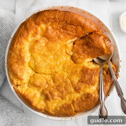 A golden, perfectly risen cheese soufflé in a round casserole dish, ready to be served.