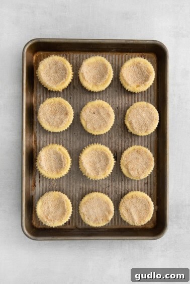 Sugar topping sprinkled on mini cheesecakes.