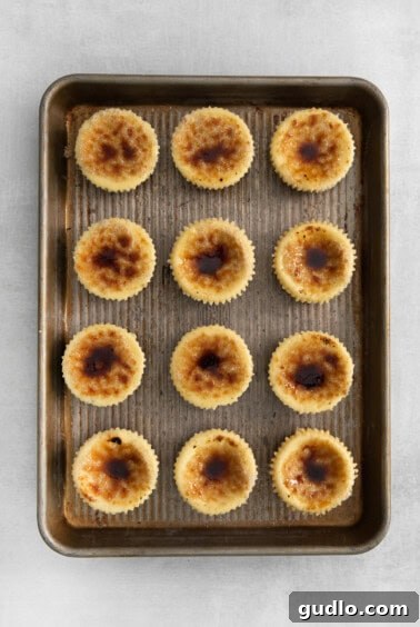 Hard caramelized sugar topping on individual mini cheesecakes.