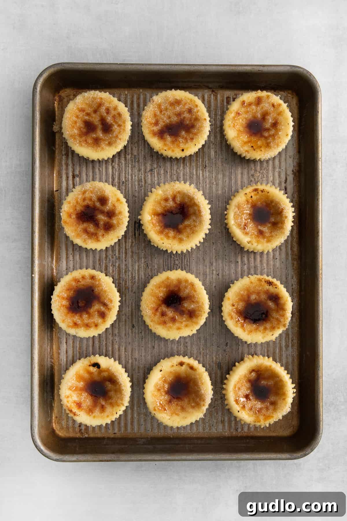 A tray of freshly brûléed mini cheesecakes with glossy, hard sugar tops.