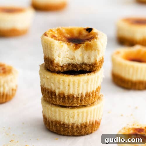 A stack of golden-topped creme brulee cheesecakes.