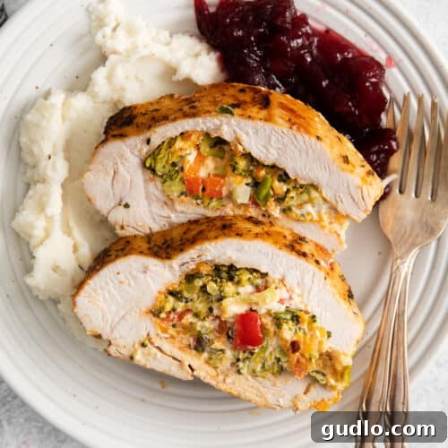 A stunning image of a cooked stuffed turkey breast, perfectly golden and ready to be carved, ideal for a memorable meal.