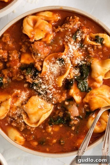 Soul-Satisfying Tortellini Soup 8 Cheese tortellini soup.