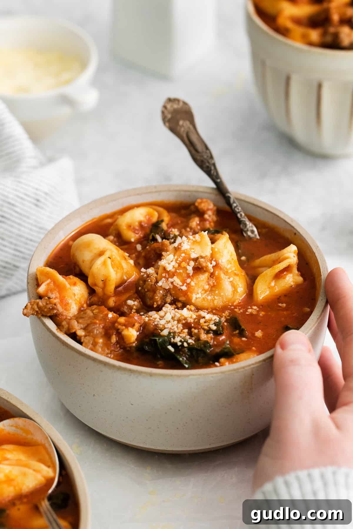 A Comforting Bowl of Hot Cheese Tortellini Soup A close-up of cheese tortellini soup in a bowl, with steam rising.
