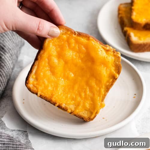 Cheese toast on a plate.