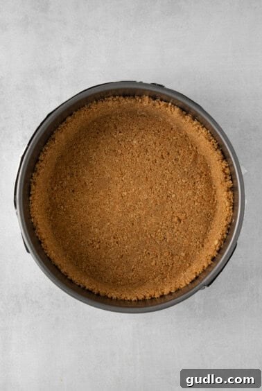 a close up of a pie crust pressed into a springform pan.