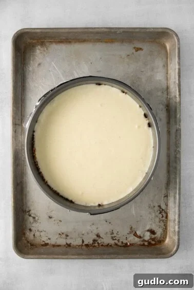 cheesecake filling being poured into a springform pan with a crust.