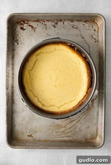 a baked cheesecake in a metal pan cooling on a table.